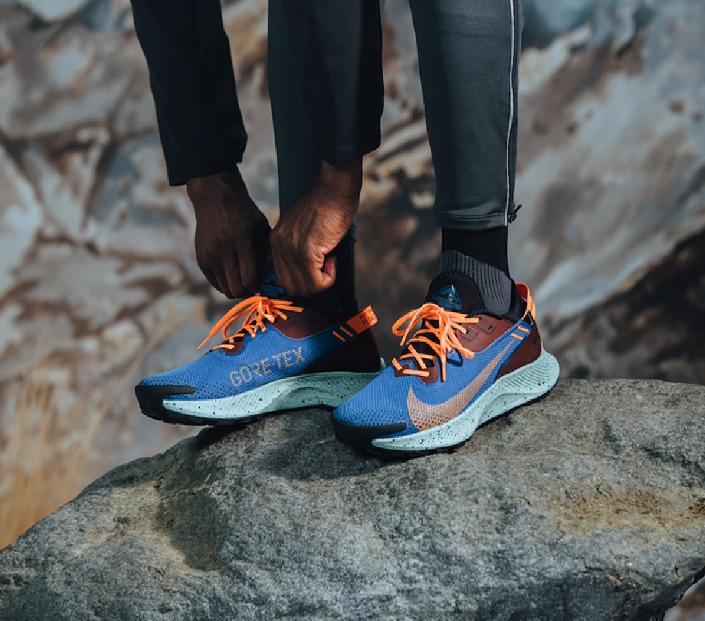 Giày Nike Pegasus Trail 2 Gore-Tex 'Mystic Dates Blue' CU2018-600 - Ảnh 3