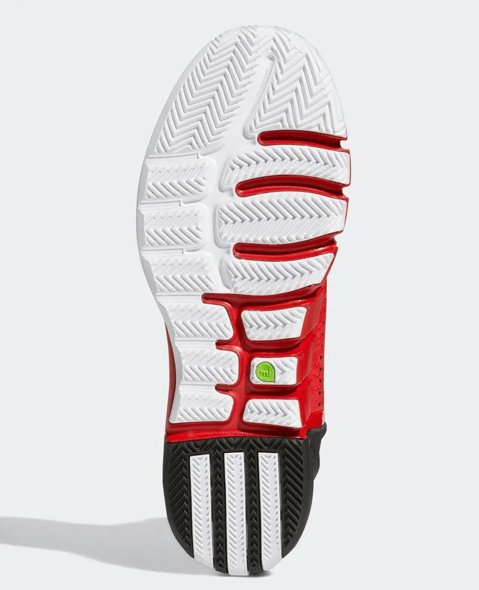 Alternative view of Giày Adidas D Rose 4 EVO 'Brenda' FX4067