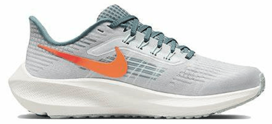 Giày Nike Air Zoom Pegasus 39 'Grey' DM4015-003
