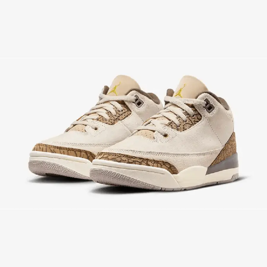 Giày Nike Air Jordan 3 Retro 'Palomino' GS DM0967-102 - Ảnh 4