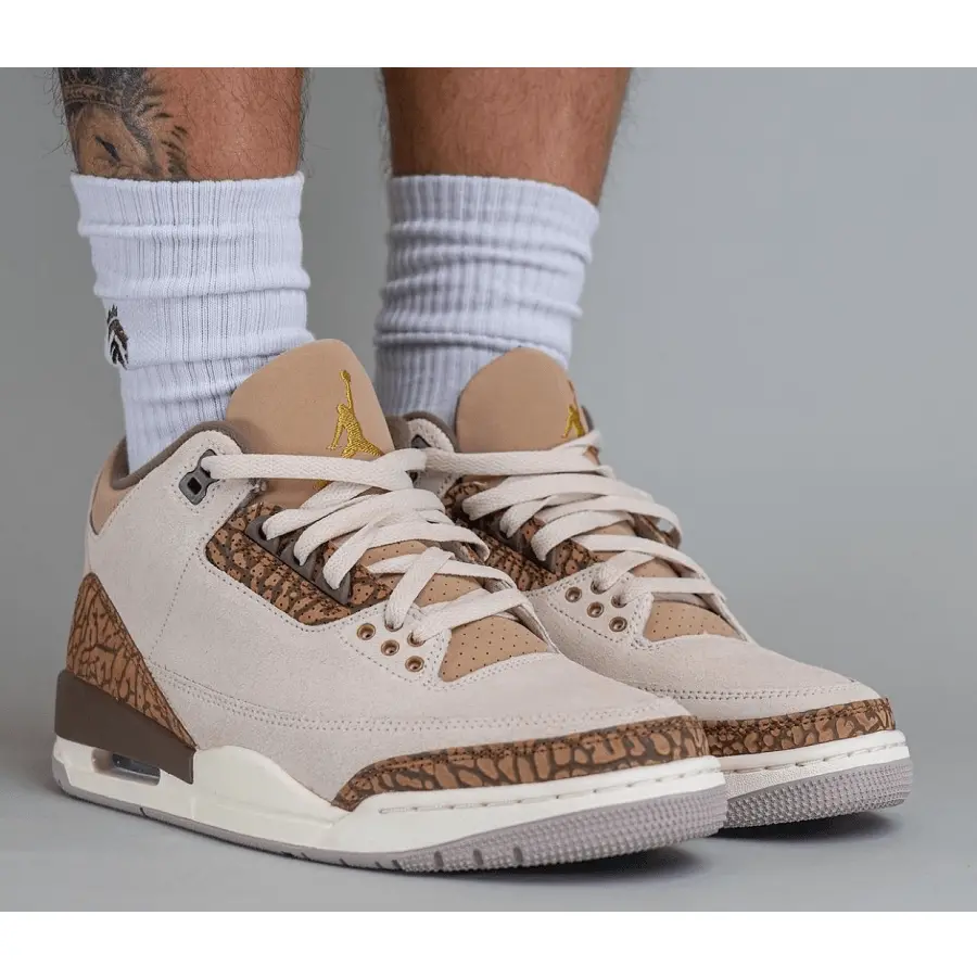 Giày Nike Air Jordan 3 'Retro Palomino' CT8532-102 - Ảnh 3