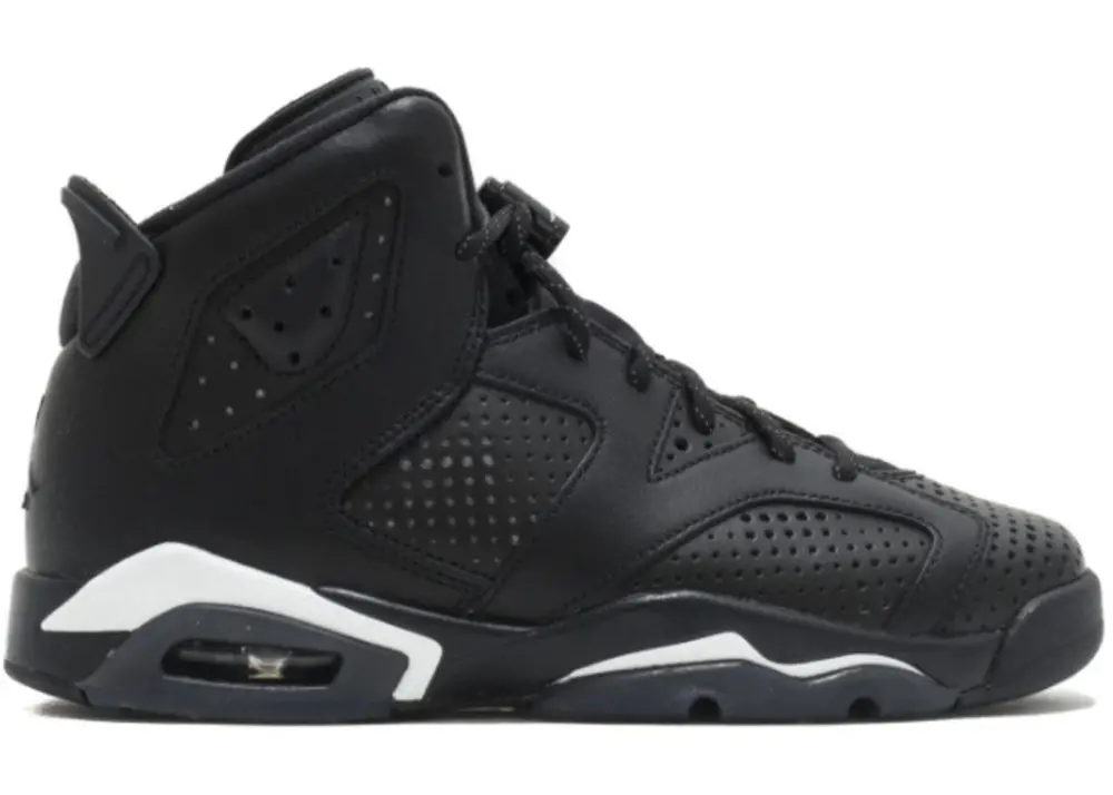Giày Nike Air Jordan 6 Retro 'Black Cat' 384665-020