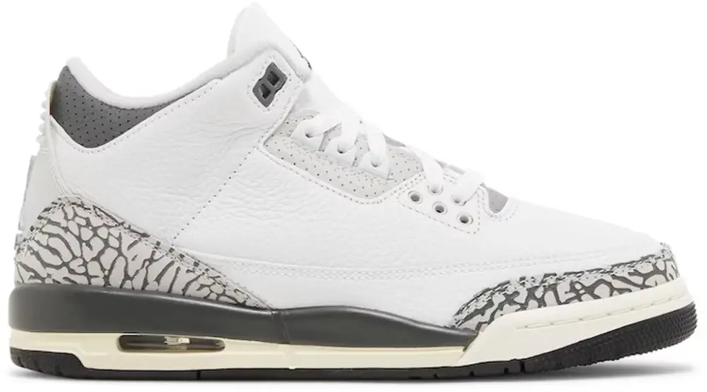 Giày Nike Air Jordan 3 Retro 'Hide N' Sneak' DX6665-100