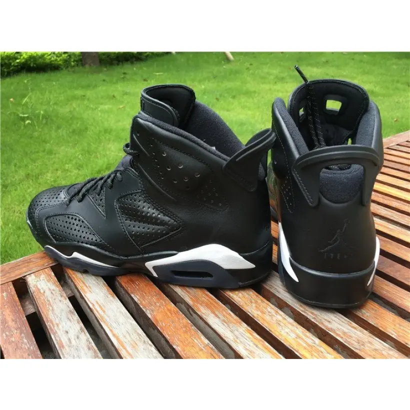 Giày Nike Jordan 6 Retro 'Black Cat' 384664-020 - Ảnh 5