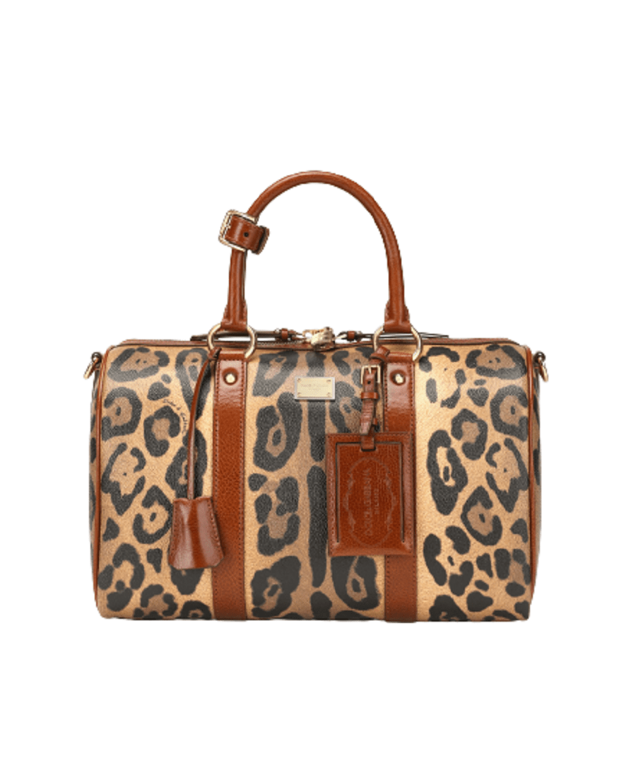 Túi Dolce & Gabbana 'Leopard Print' Crespo BB2208AW384HYNBM