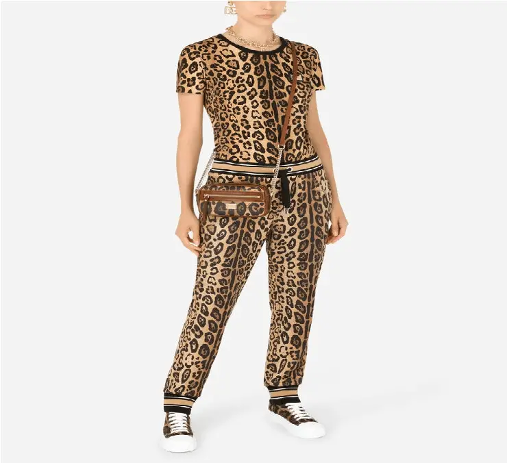 Alternative view of Túi Dolce & Gabbana Crespo 'Leopard Print' BB6931AW384HYNBM