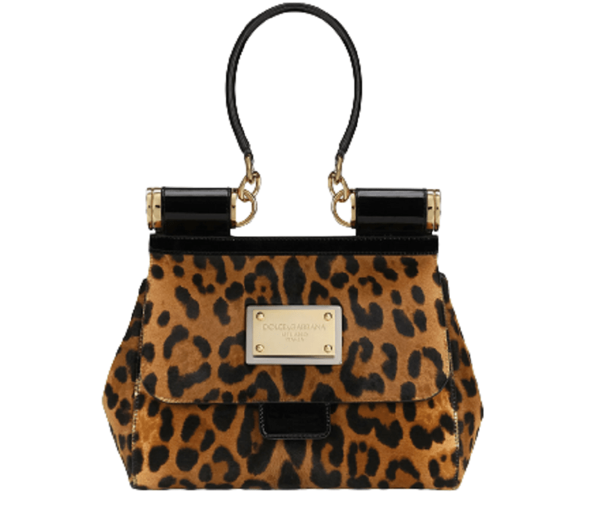 Túi Dolce & Gabbana Medium 90es 'Leopard Print' BB7018AQ291HAALM
