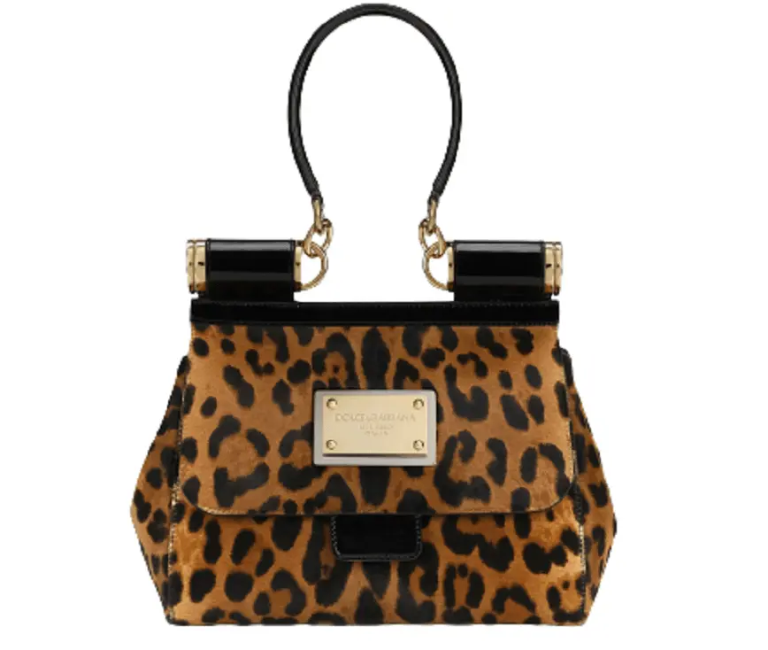 Túi Dolce & Gabbana Medium 90es 'Leopard Print' BB7018AQ291HAALM