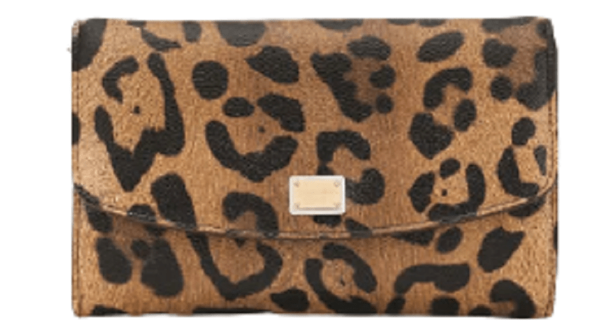 Túi Dolce & Gabbana 'Leopard Print' Crespo