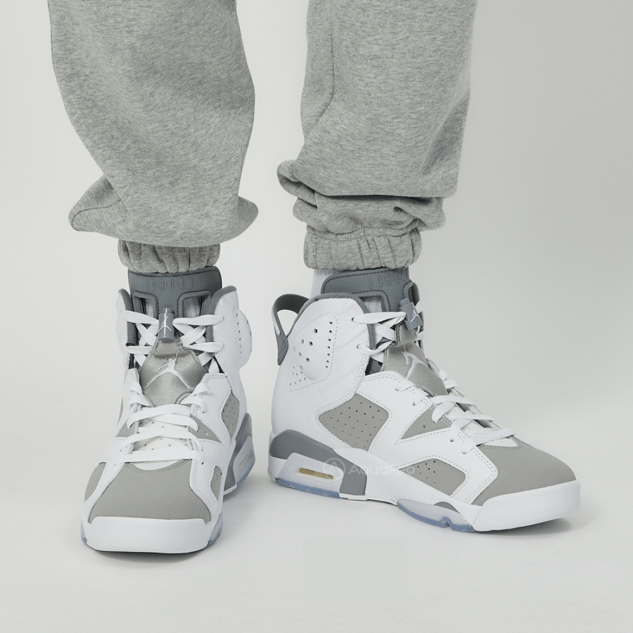 Giày Nike Jordan 6 Retro 'Cool Grey' GS 384665-100 - Ảnh 2