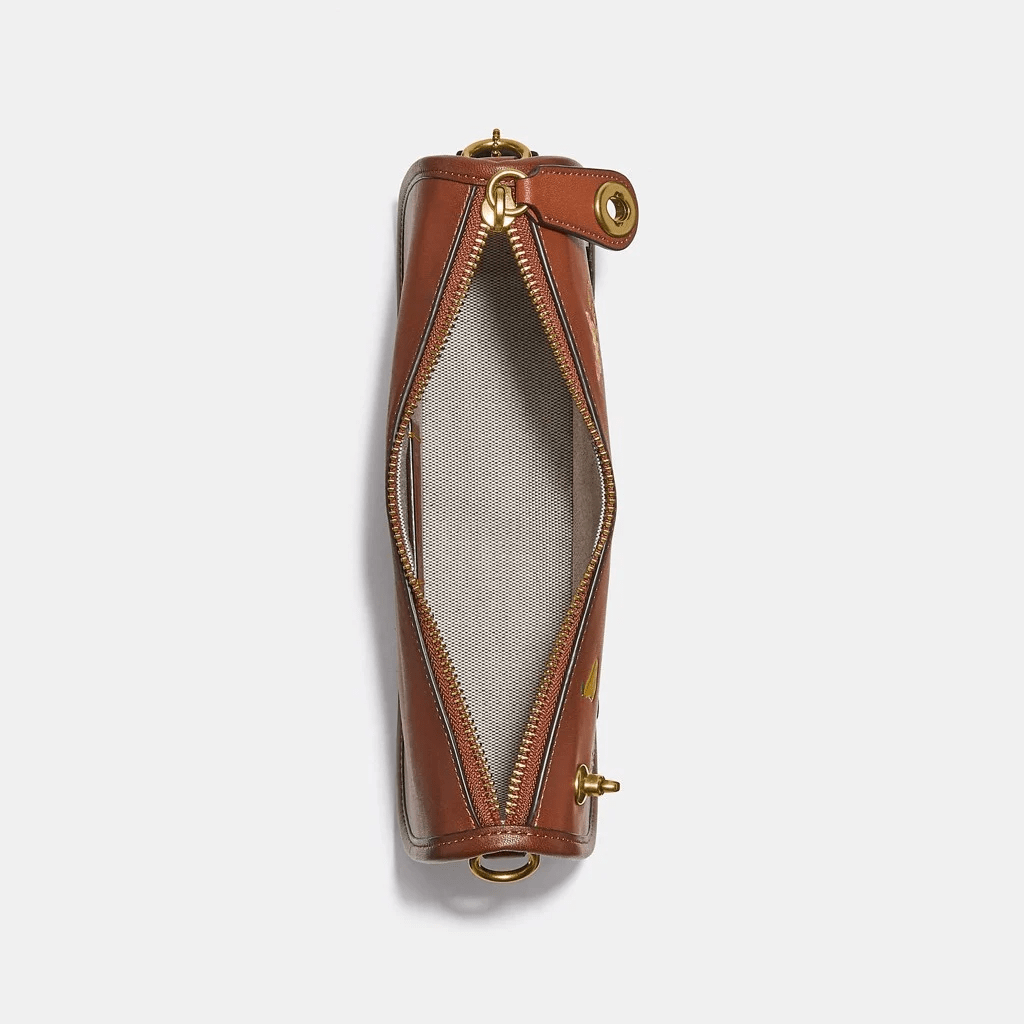 Túi Coach Swinger Bag With Garden Embroidery C2275 B4L4A - Ảnh 3