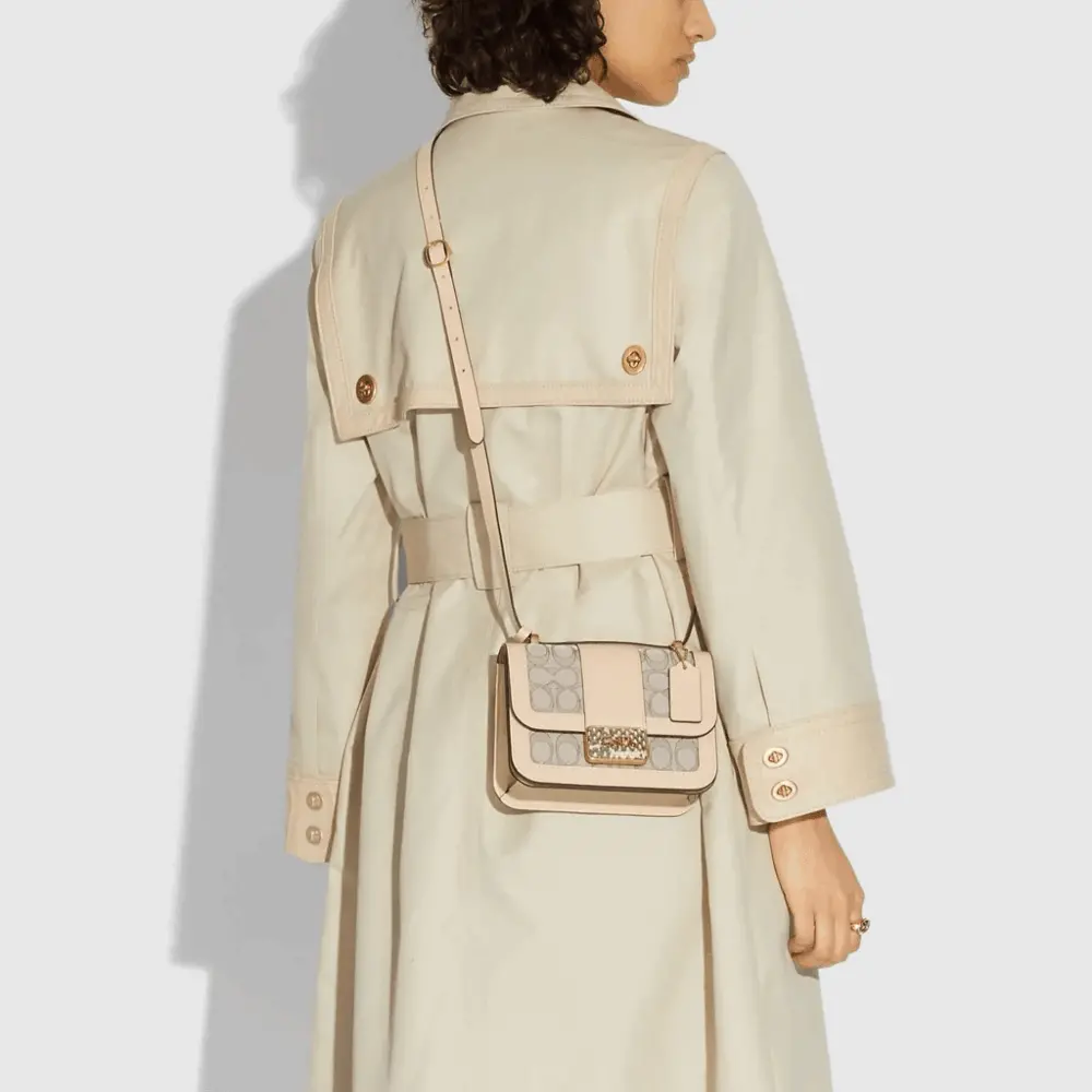 Túi Coach Alie 18 In Sinagture Jaccquard 'Snake Skin' C3760 B4SHG - Ảnh 5