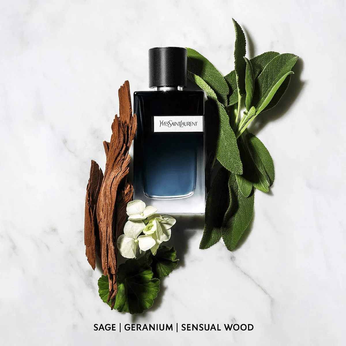 Nước Hoa Nam Saint Laurent Y EDP - Ảnh 3