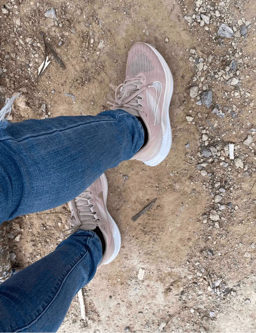 Alternative view of Giày Nike Wmns Air Winflo 9 'Pink Oxford' DD8686-600