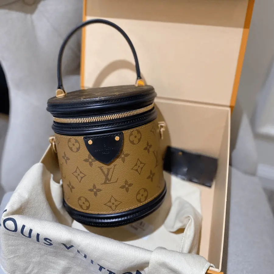Túi Louis Vuitton Cannes Monogram M43986 - Ảnh 5