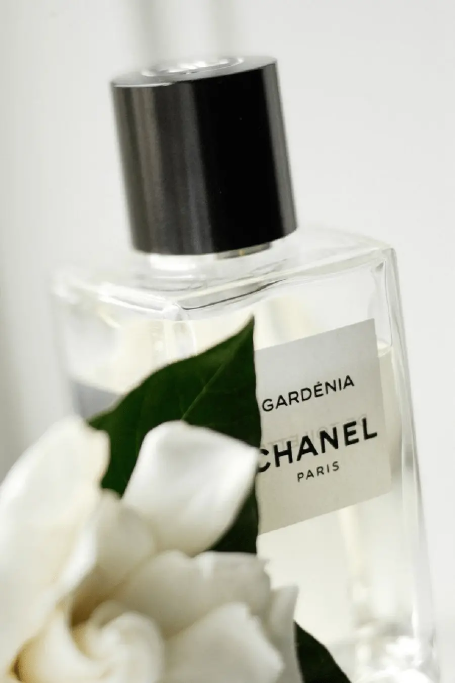 Alternative view of Nước Hoa Chanel Gardenia EDP