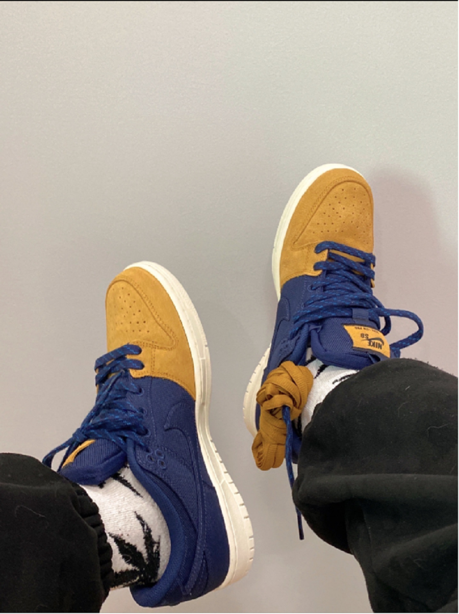 Giày Nike SB Dunk Low Pro PRM '90s Backpack' DX6775-400 - Ảnh 2