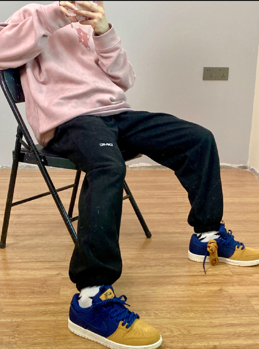 Giày Nike SB Dunk Low Pro PRM '90s Backpack' DX6775-400 - Ảnh 3