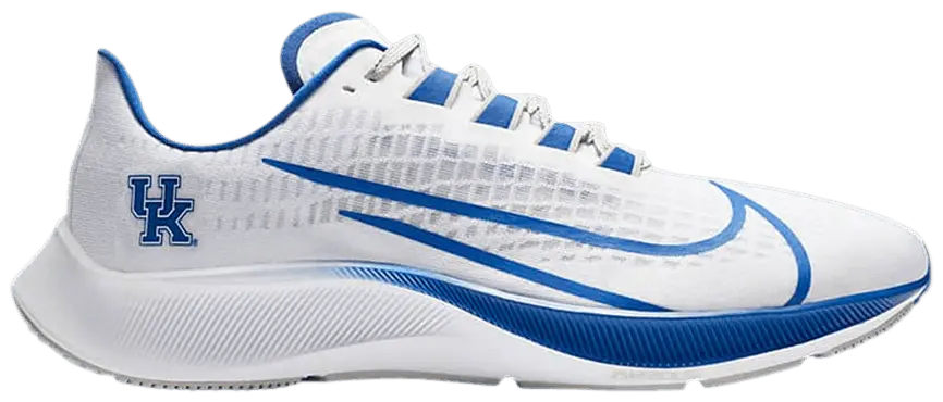 Giày Nike Air Zoom Pegasus 37 'Kentucky' CZ5382-100