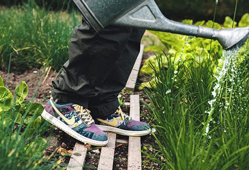 Giày Nike Dunk Low 'Community Garden' CZ9747-900 - Ảnh 3