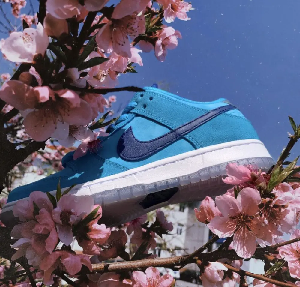 Giày Nike Dunk Low SB 'Blue Fury' BQ6817-400 - Ảnh 5