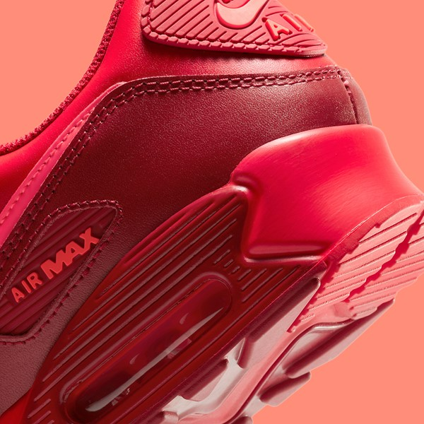 Giày Nike Air Max 90 'City Special Chicago' DH0146-600 - Ảnh 6