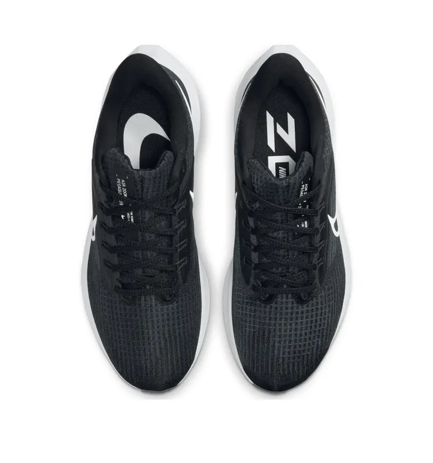 Giày Nike Pegasus 39 'Dark Smoke' DH4072-001 - Ảnh 5