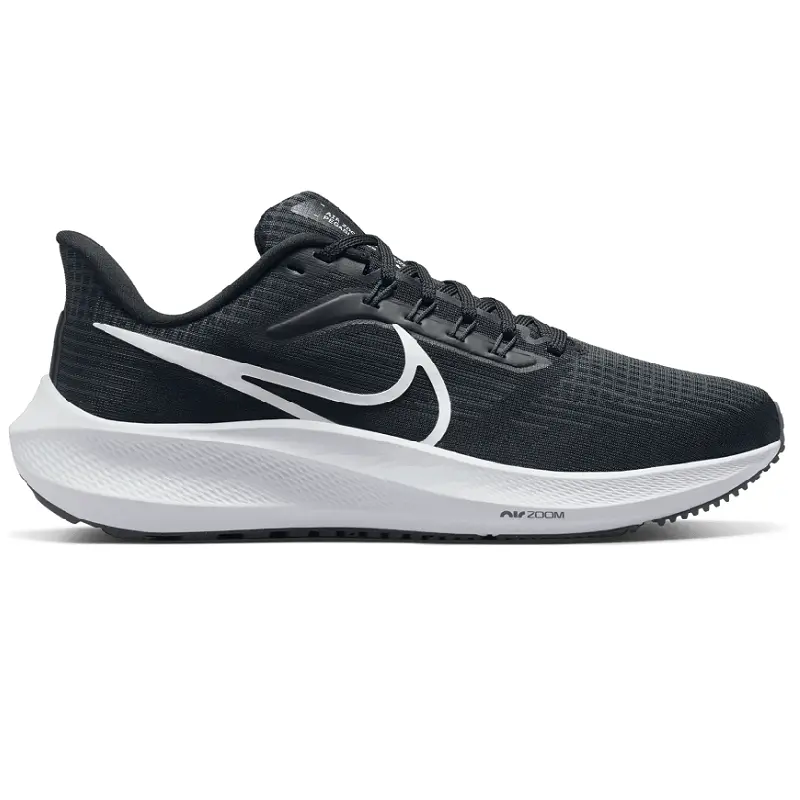Giày Nike Pegasus 39 'Dark Smoke' DH4072-001