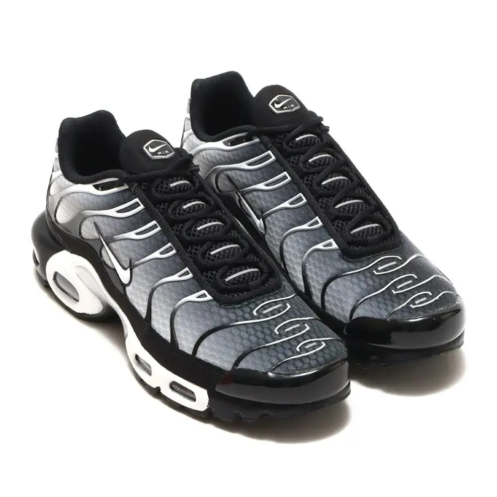 Alternative view of Giày Nike Air Max Plus 'Black Metallic Silver' DM0032-003