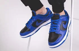 Giày Nike Dunk Low 'Hyper Cobalt' DD1391-001 - Ảnh 8