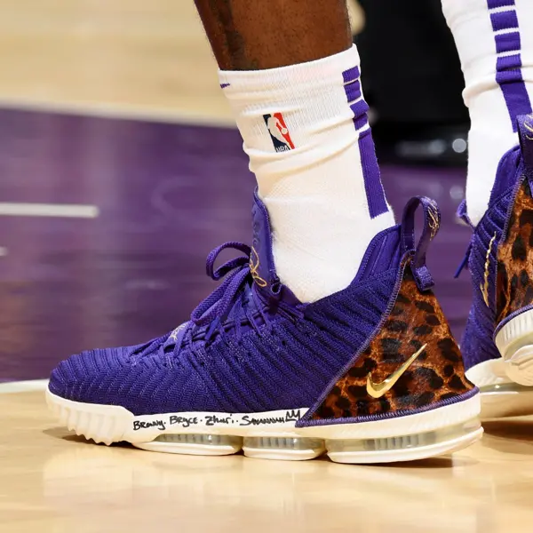 Giày Nike LeBron 16 'King Court Purple' AO2588-500 - Ảnh 3