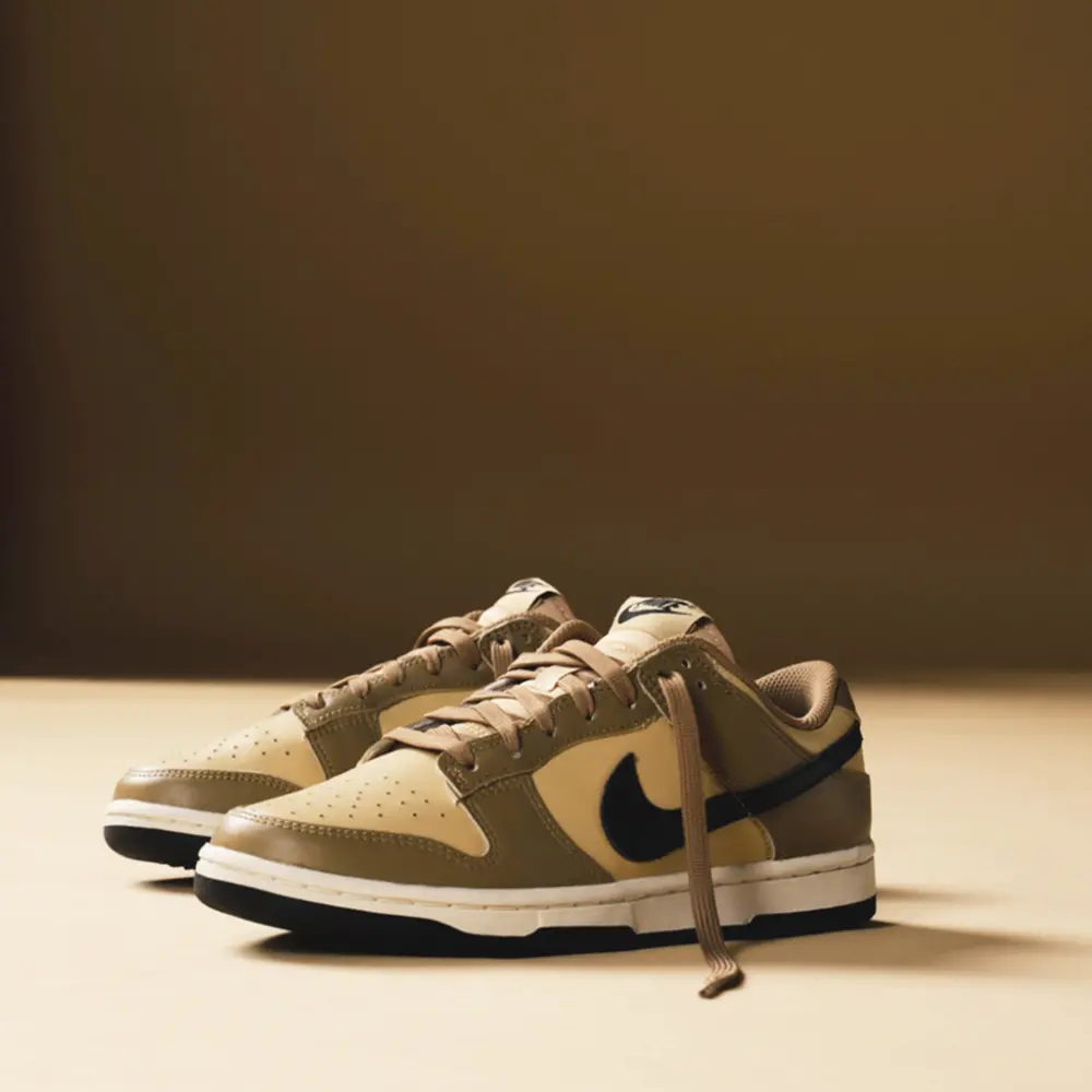 Giày Nike Dunk Low 'Dark Driftwood' DD1503-200 - Ảnh 4