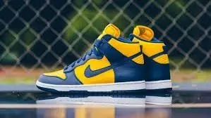 Giày Nike Dunk High SP Retro 'Michigan' 2020 CZ8149-700 - Ảnh 5