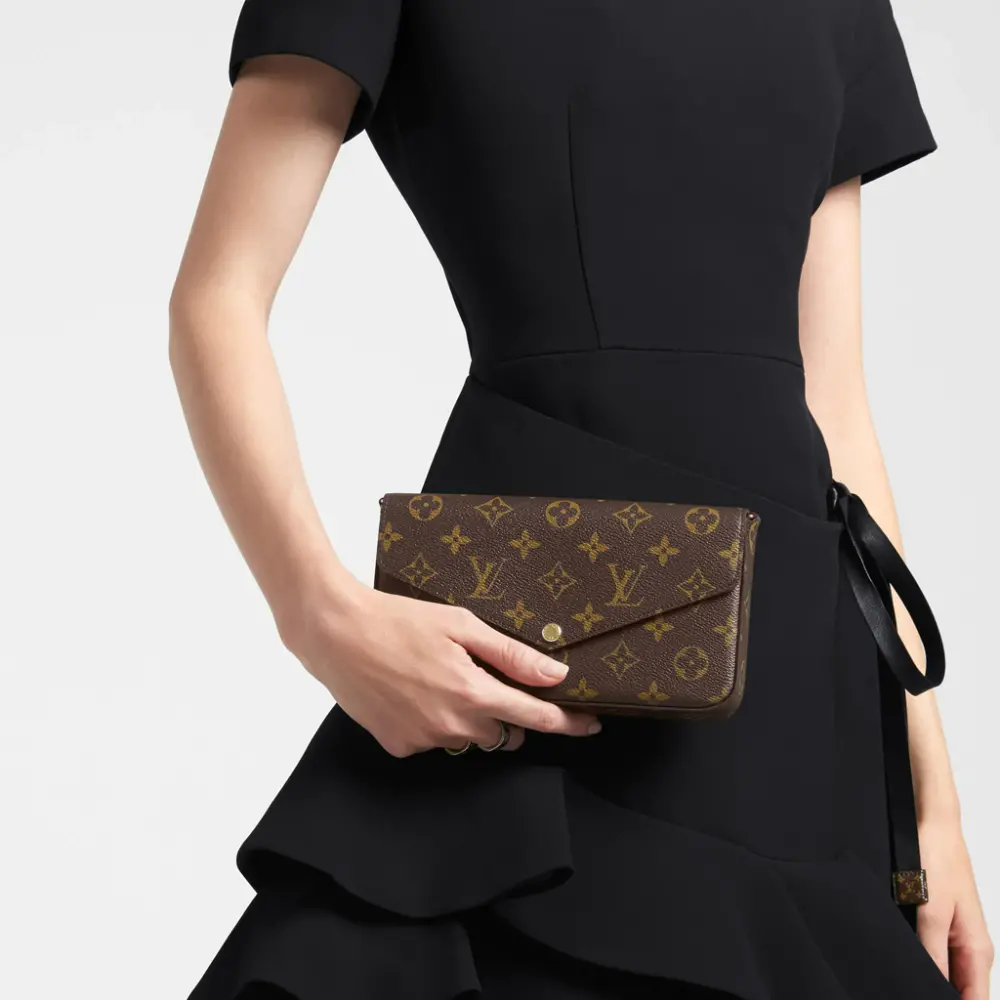 Túi Louis Vuitton Pochette Felicie Monogram M61276 - Ảnh 5