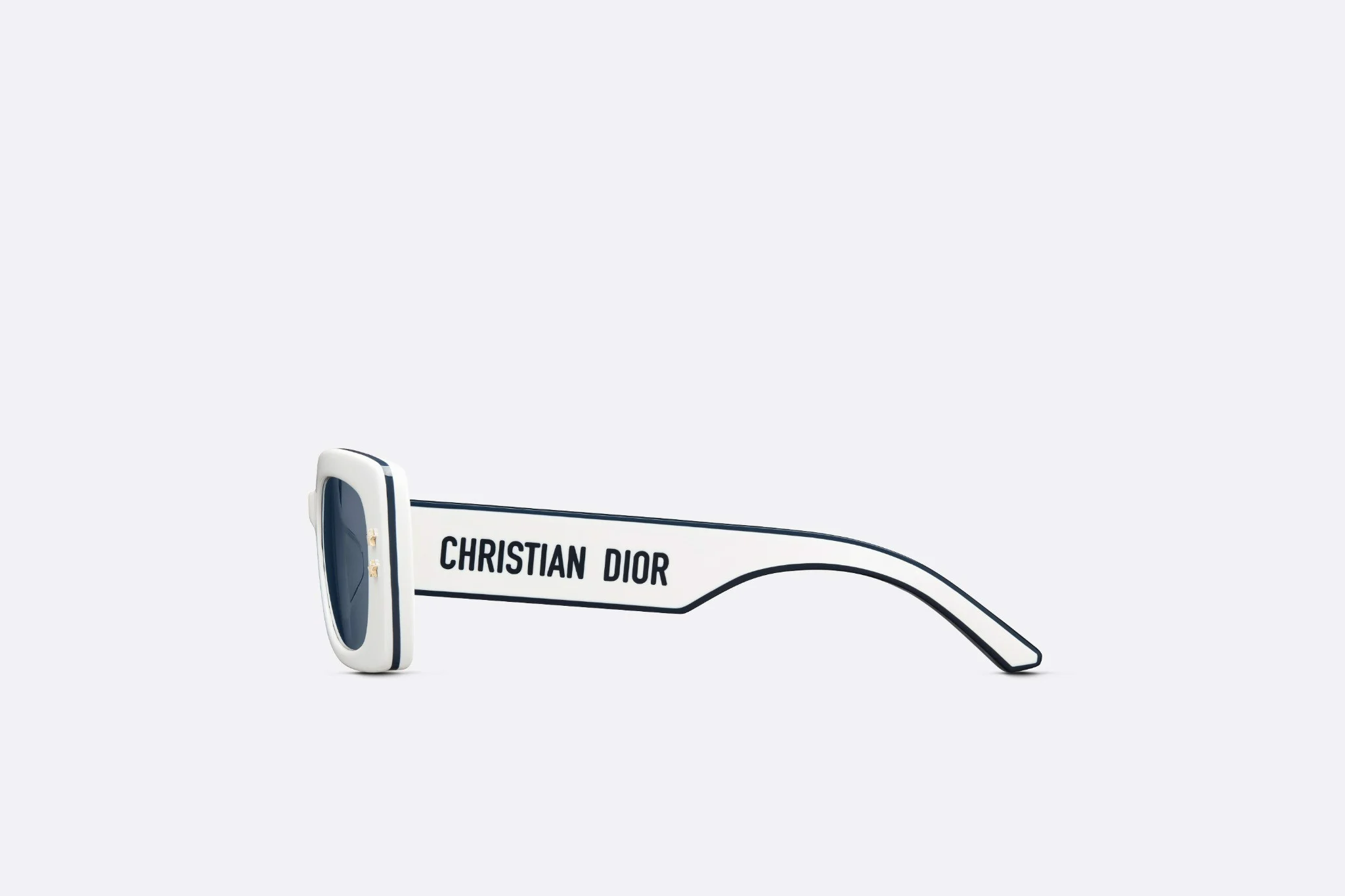 Kính Dior Diorpacific S1U Square Sunglasses 'White' DPFCS1UQR-95B0 - Ảnh 3