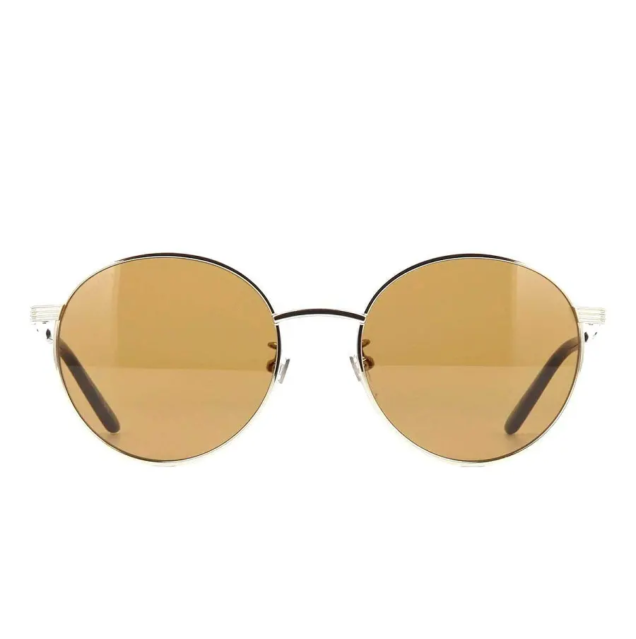 Kính Gucci sunglasses silver brown GG0944SA-003