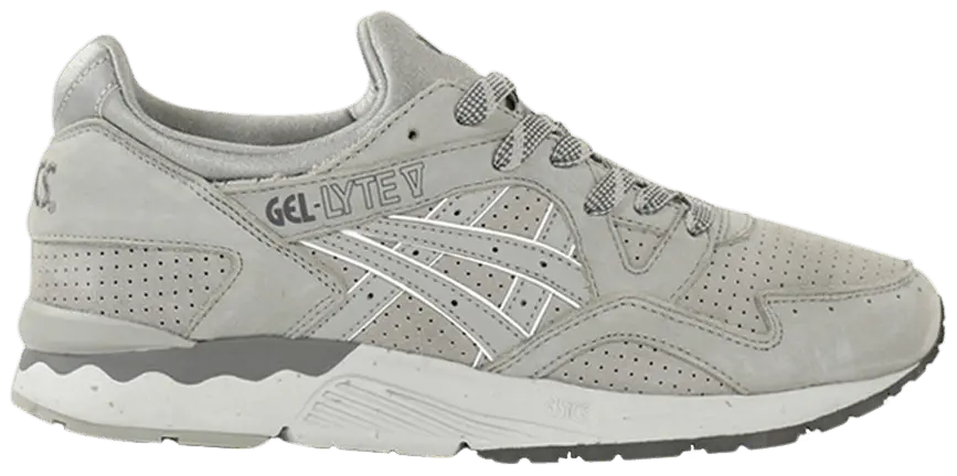 Giày Asics Gel Lyte 5 Outdoor H5D2L 1313