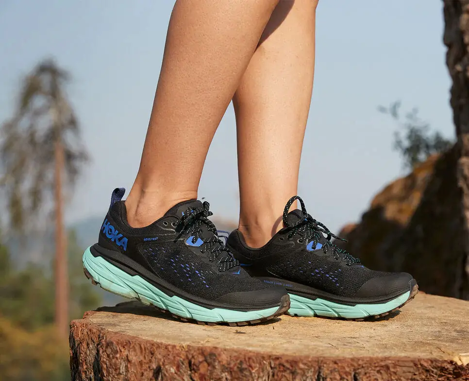 Giày Hoka Challenger Atr 6 Gtx 'Blue Mint' 1116878-BCSC - Ảnh 5