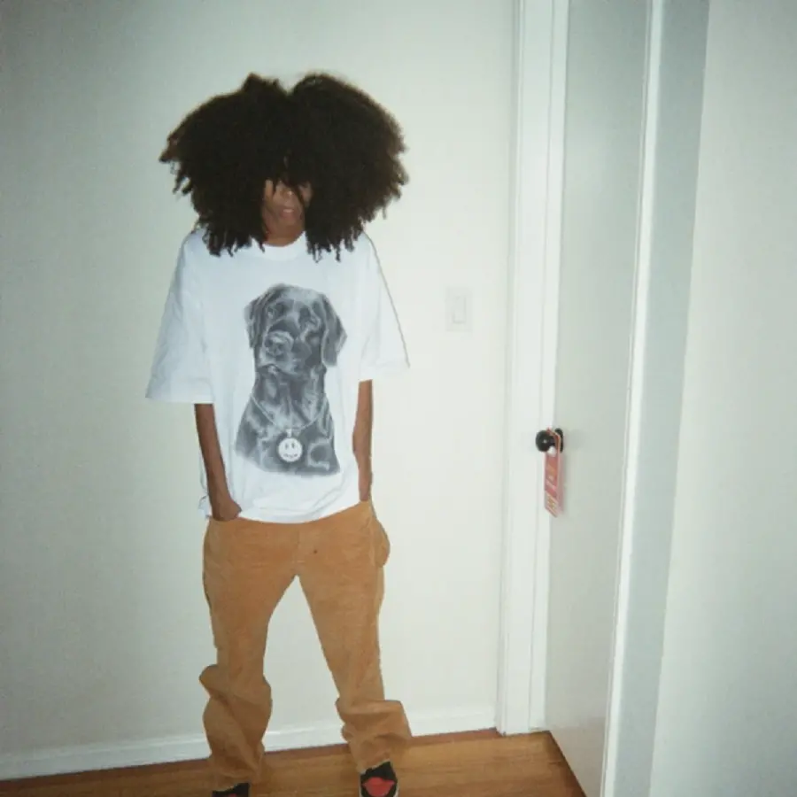 Alternative view of Áo Drew House Lady SS Tee White