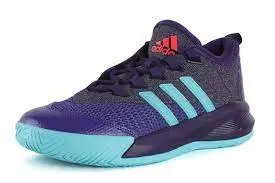 Giày ADIDAS CRAZYLIGHT 2.5 ACTIVE AQ8599 - Ảnh 3