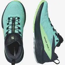 Giày Salomon Trail Running Sense Ride 5 Gtx L47216000 - Ảnh 3