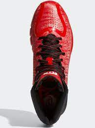 Giày Adidas D Rose 4 EVO 'Brenda' FX4067 - Ảnh 4