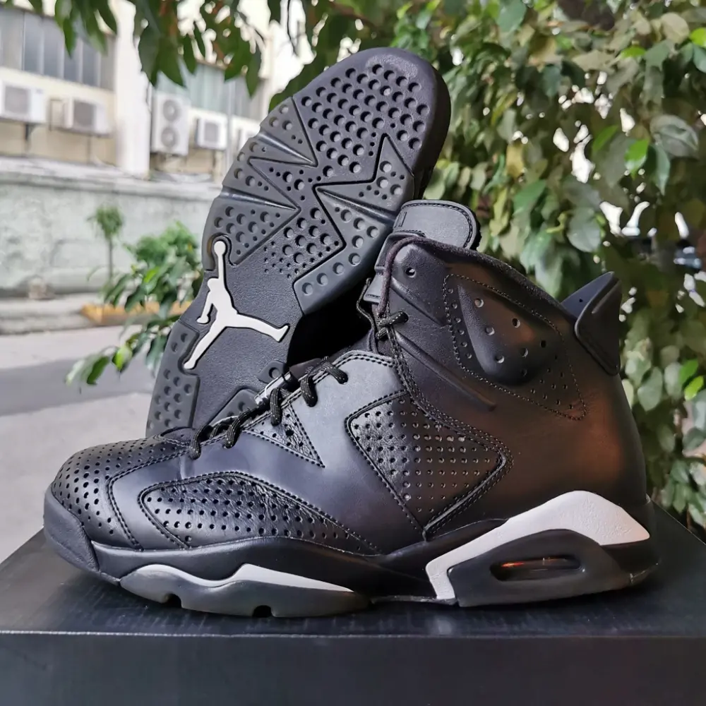 Giày Nike Jordan 6 Retro 'Black Cat' 384664-020 - Ảnh 4