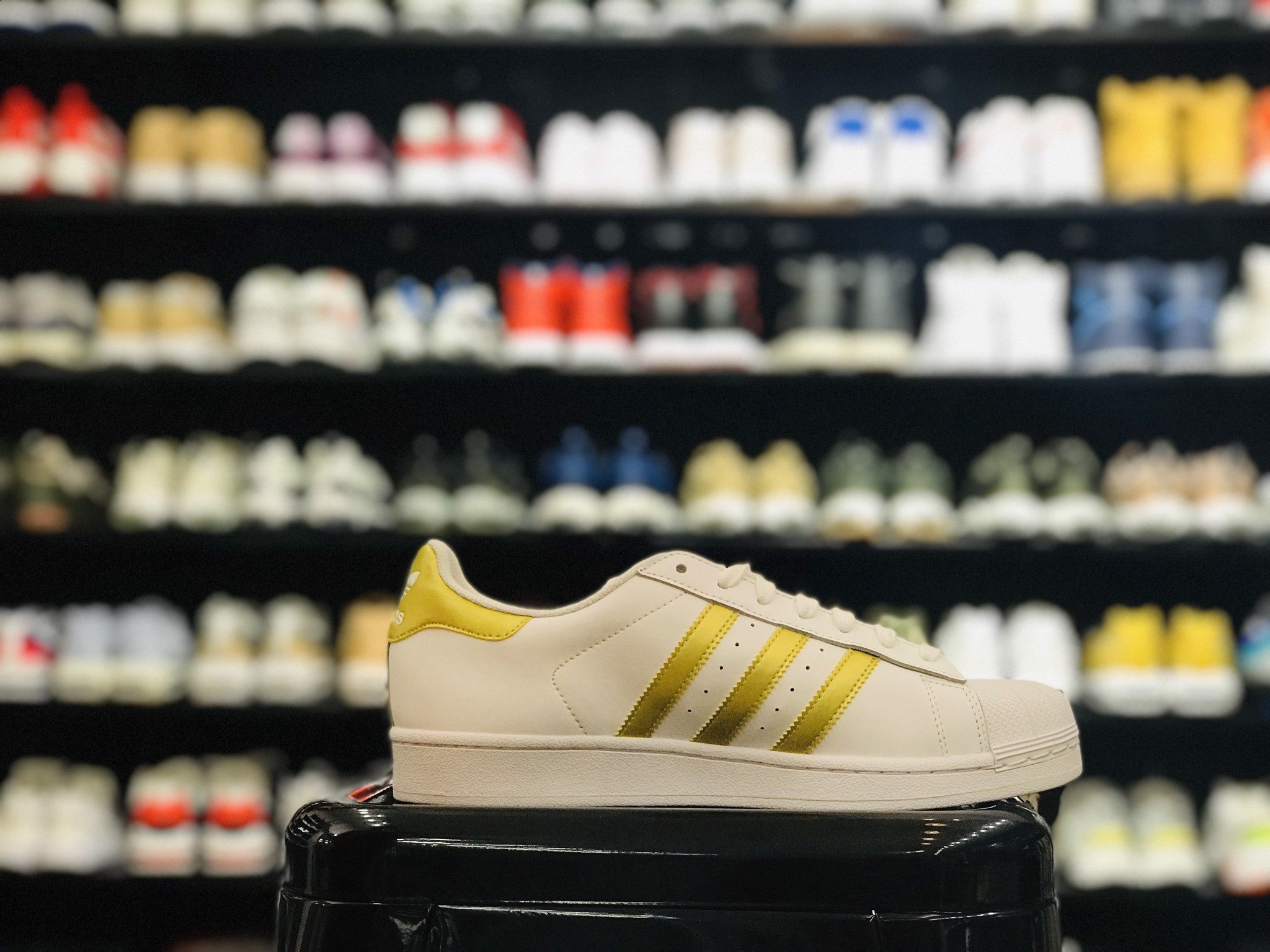 Giày Adidas Superstar White "Gold" BY8757 - Ảnh 4