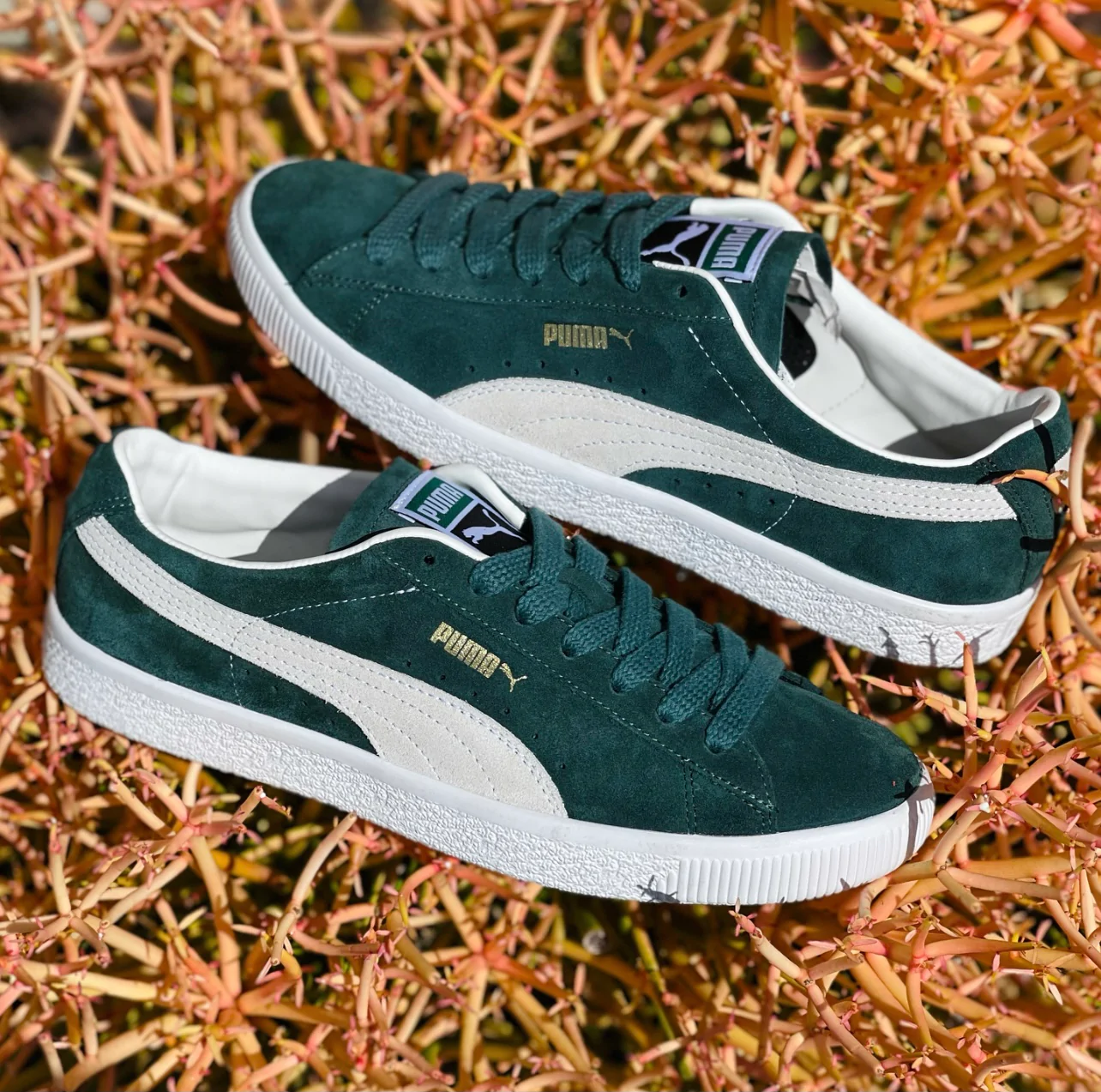 Giày Puma Suede Vintage 'Ponderosa Pine' 374921-02 - Ảnh 4