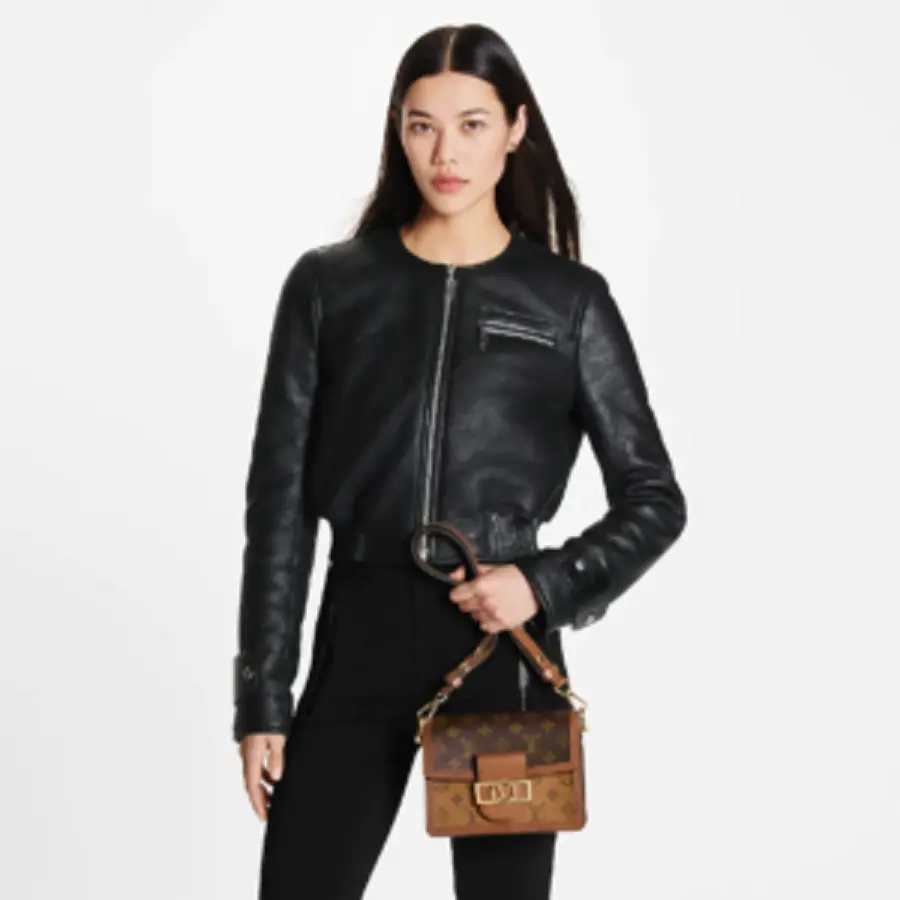 Túi Louis Vuitton Dauphine Mini Bag 'Brown' M45959 - Ảnh 4