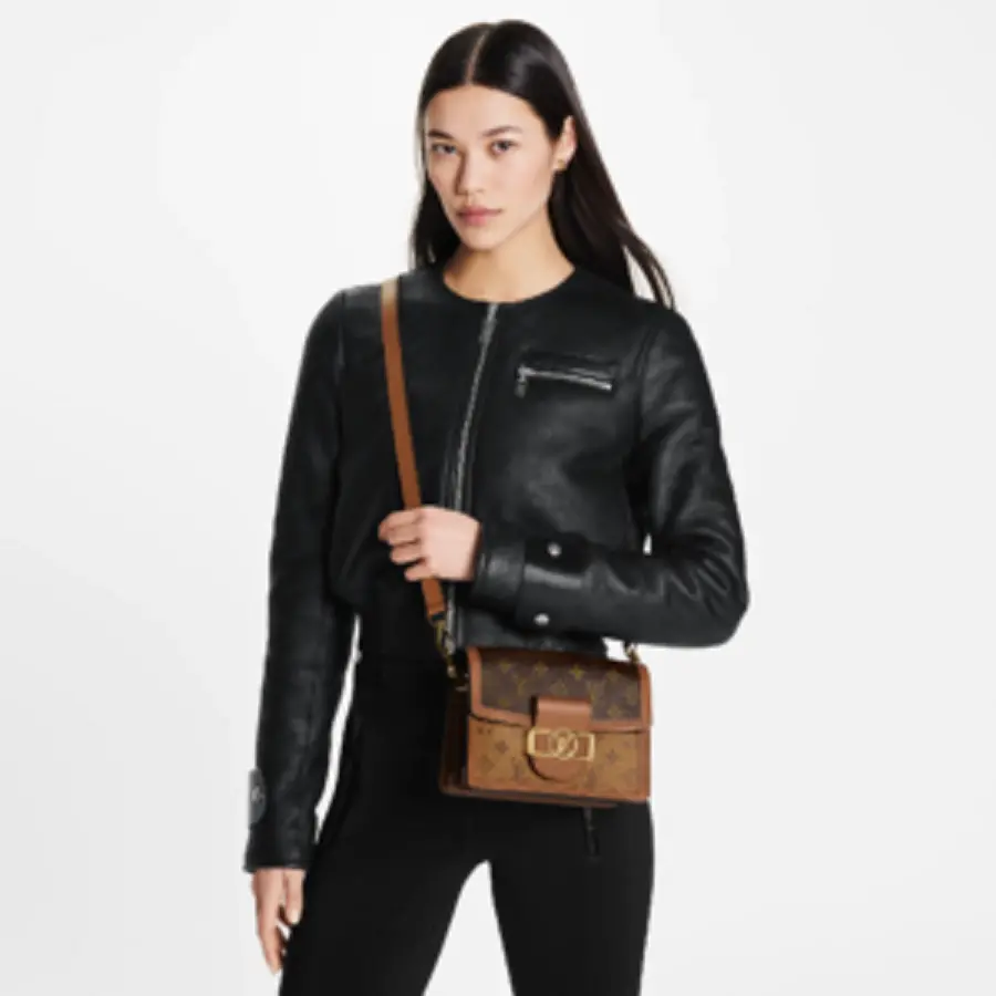 Túi Louis Vuitton Dauphine Mini Bag 'Brown' M45959 - Ảnh 3