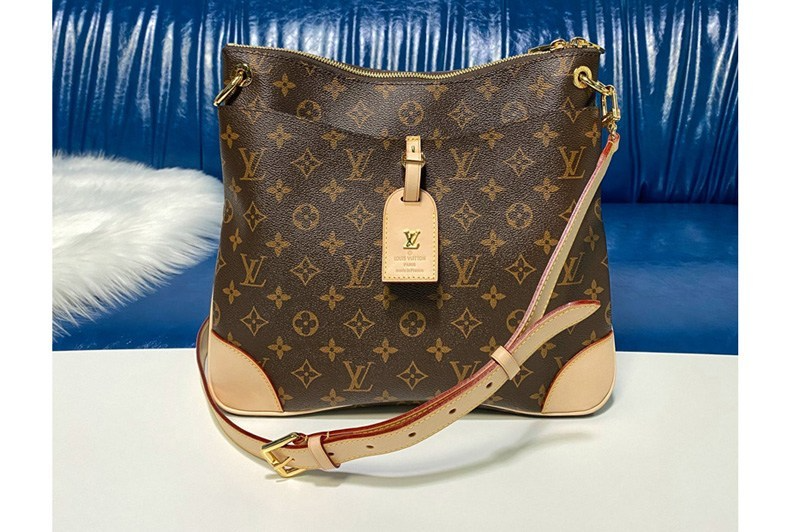 Túi Louis Vuitton Odéon PM Monogram Canvas 'Natural' Handbag M45354 - Ảnh 3