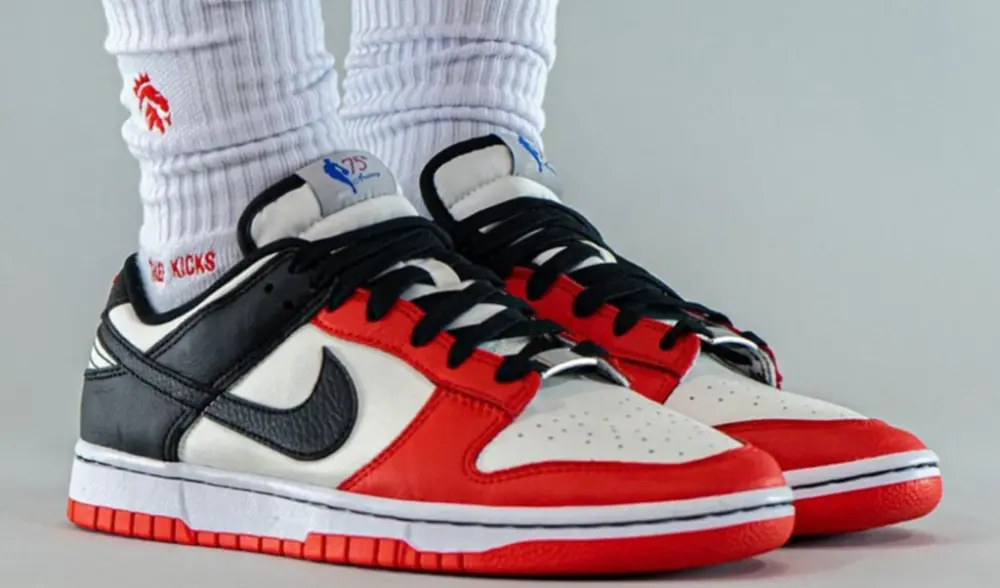 Giày Nike Dunk EMB '75th Anniversary Bulls' DD3363-100 - Ảnh 4