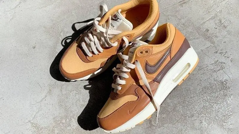Giày Nike Air Max 1 SNKRS Day 'Brown' DA4302-700 - Ảnh 3